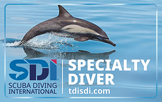 スペシャリティーコース